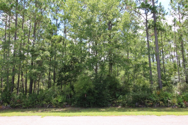 Freeport, Florida 32439, ,Land,For Sale,Bay Harbour,851418