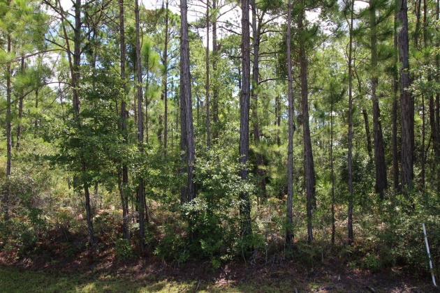 Freeport, Florida 32439, ,Land,For Sale,Bay Harbour,851418