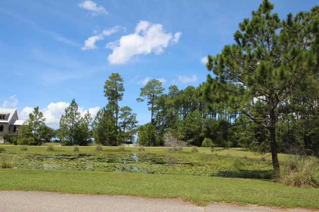 Freeport, Florida 32439, ,Land,For Sale,Bay Harbour,851418