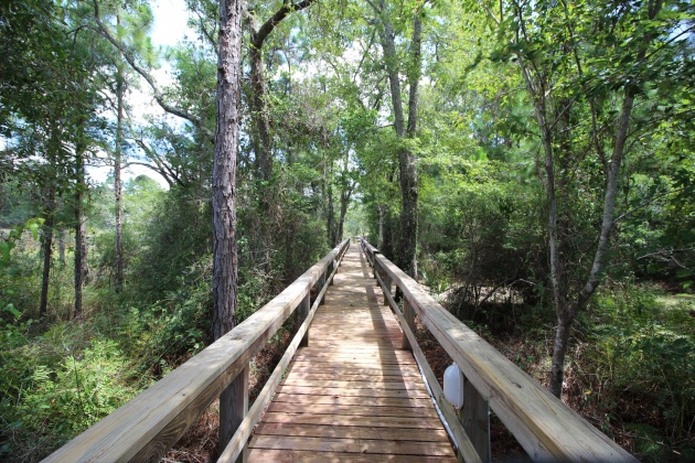 Freeport, Florida 32439, ,Land,For Sale,Bay Harbour,851418