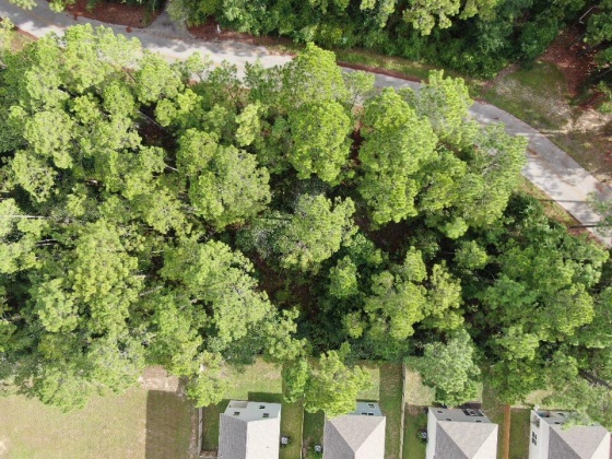 Santa Rosa Beach, Florida 32459, ,Land,For Sale,Nursery,851666