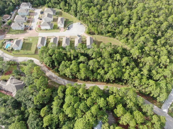 Santa Rosa Beach, Florida 32459, ,Land,For Sale,Nursery,851666