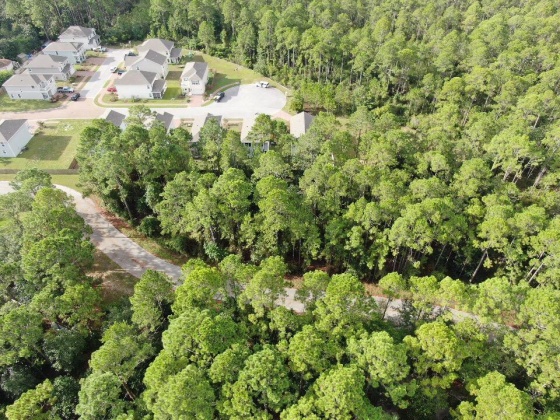 Santa Rosa Beach, Florida 32459, ,Land,For Sale,Nursery,851666
