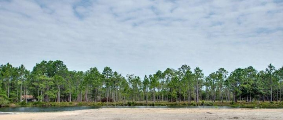 Santa Rosa Beach, Florida 32459, ,Land,For Sale,Hampton Creek,844632