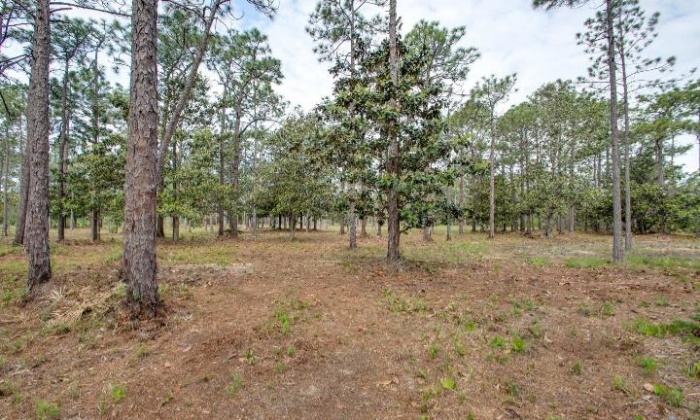 Santa Rosa Beach, Florida 32459, ,Land,For Sale,Hampton Creek,844632