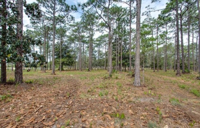Santa Rosa Beach, Florida 32459, ,Land,For Sale,Hampton Creek,844632