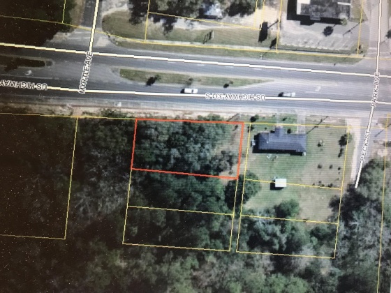 Defuniak Springs, Florida 32435, ,Land,For Sale,US-331,788835