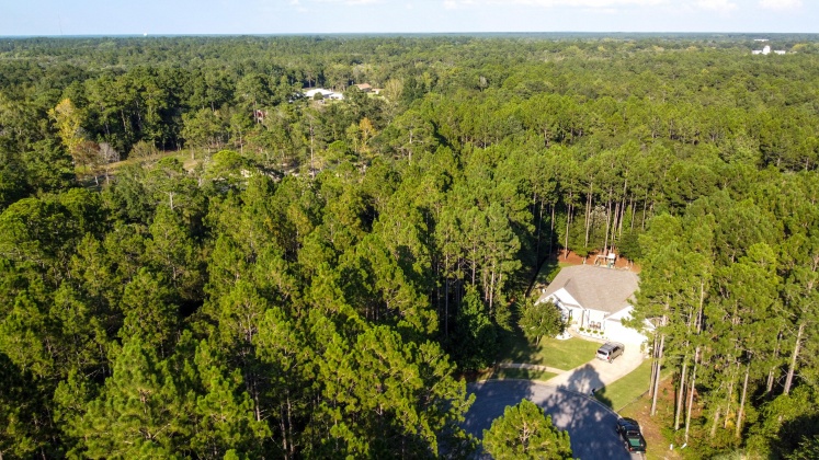 Freeport, Florida 32439, ,Land,For Sale,Symphony,852173