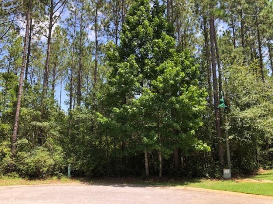 Freeport, Florida 32439, ,Land,For Sale,Symphony,852173