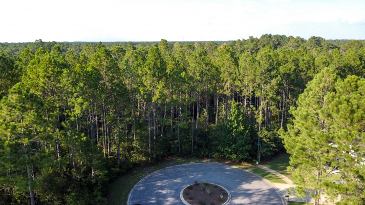 Freeport, Florida 32439, ,Land,For Sale,Symphony,852173