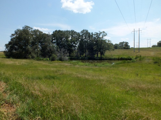 Defuniak Springs, Florida 32433, ,Land,For Sale,St Hwy 2 E,852620