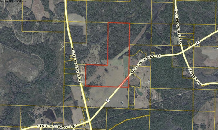 Defuniak Springs, Florida 32433, ,Land,For Sale,St Hwy 2 E,852620