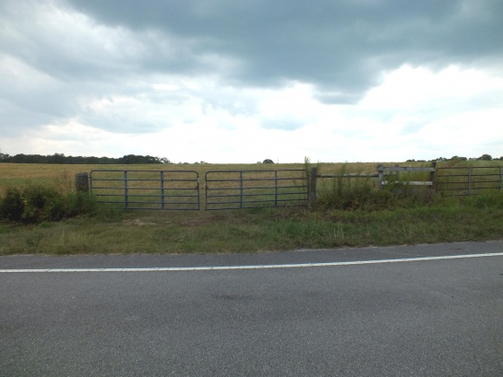 Defuniak Springs, Florida 32433, ,Land,For Sale,St Hwy 2 E,852620