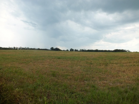 Defuniak Springs, Florida 32433, ,Land,For Sale,St Hwy 2 E,852620