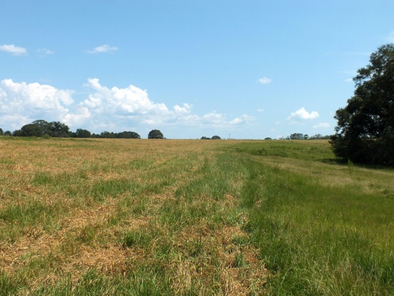 Defuniak Springs, Florida 32433, ,Land,For Sale,St Hwy 2 E,852620