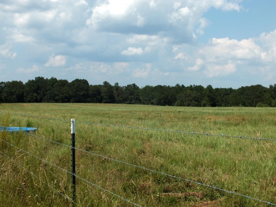 Defuniak Springs, Florida 32433, ,Land,For Sale,St Hwy 2 E,852620