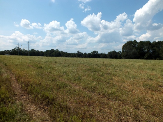 Defuniak Springs, Florida 32433, ,Land,For Sale,St Hwy 2 E,852620