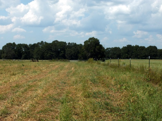 Defuniak Springs, Florida 32433, ,Land,For Sale,St Hwy 2 E,852620