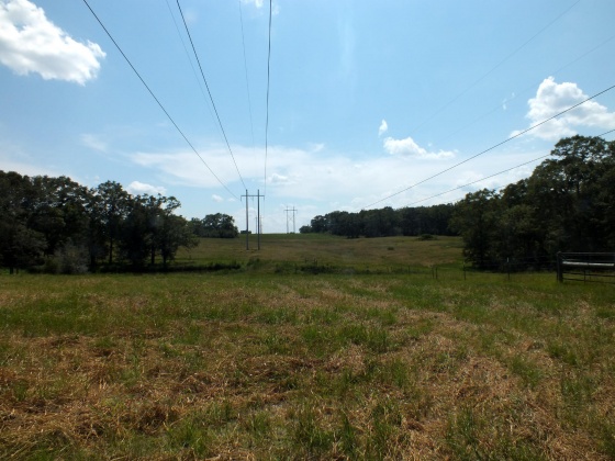 Defuniak Springs, Florida 32433, ,Land,For Sale,St Hwy 2 E,852620