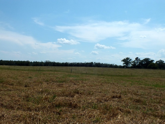Defuniak Springs, Florida 32433, ,Land,For Sale,St Hwy 2 E,852620