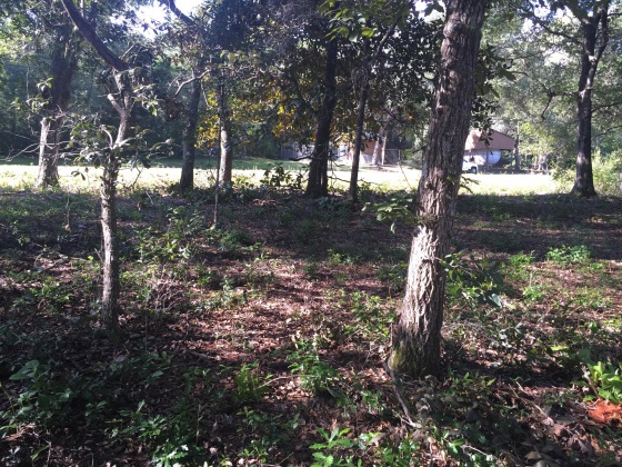 Freeport, Florida 32439, ,Land,For Sale,Kathy,852670