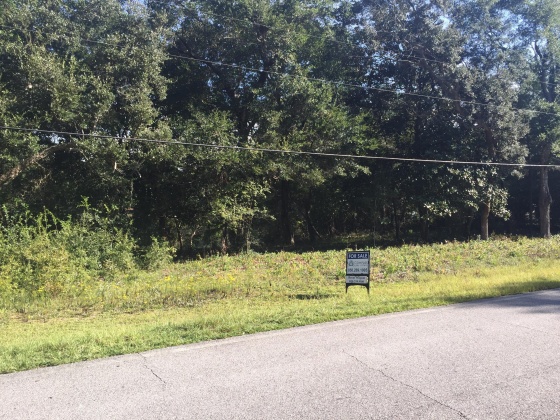 Freeport, Florida 32439, ,Land,For Sale,Kathy,852670