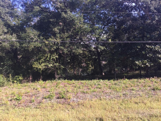 Freeport, Florida 32439, ,Land,For Sale,Kathy,852670