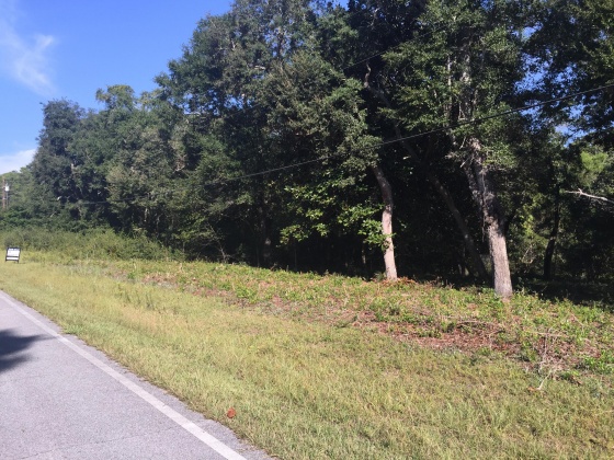 Freeport, Florida 32439, ,Land,For Sale,Kathy,852670