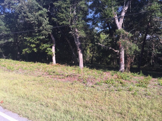 Freeport, Florida 32439, ,Land,For Sale,Kathy,852670