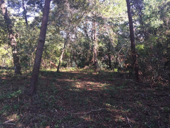 Freeport, Florida 32439, ,Land,For Sale,Kathy,852670