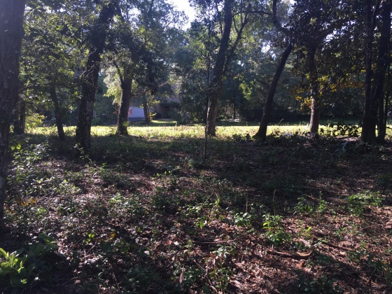 Freeport, Florida 32439, ,Land,For Sale,Kathy,852670