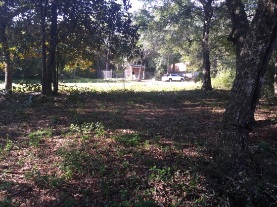Freeport, Florida 32439, ,Land,For Sale,Kathy,852670