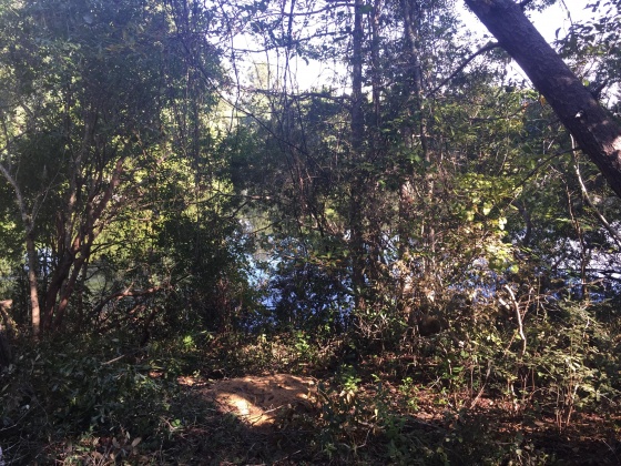 Freeport, Florida 32439, ,Land,For Sale,Kathy,852670