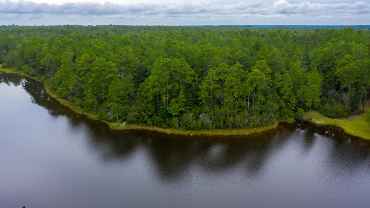 Crestview, Florida 32539, ,Land,For Sale,Fawn Lake,853765