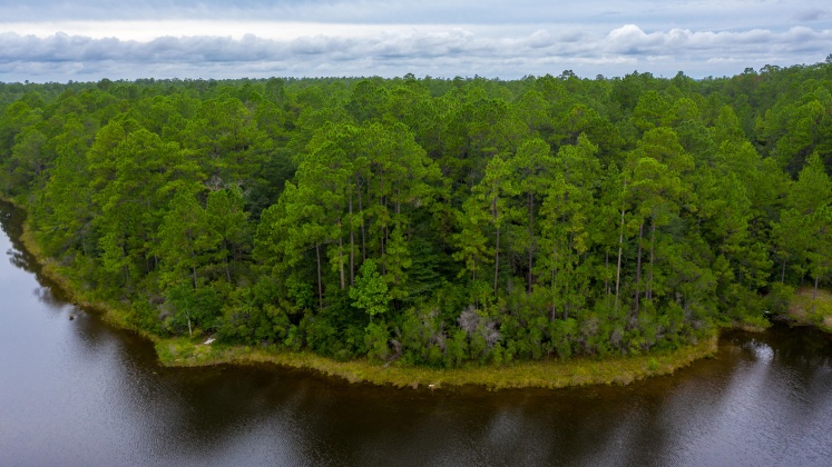 Crestview, Florida 32539, ,Land,For Sale,Fawn Lake,853765