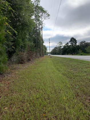 Ponce De Leon, Florida 32455, ,Land,For Sale,Blue Creek Rd,807483