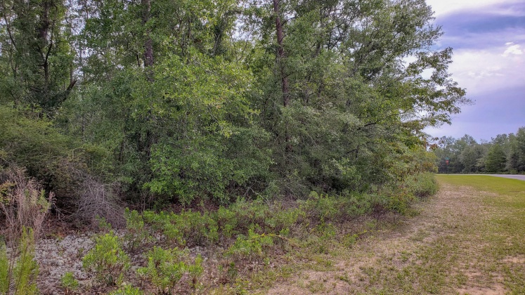 Chipley, Florida 32428, ,Land,For Sale,Shenandoah Blvd.,848668