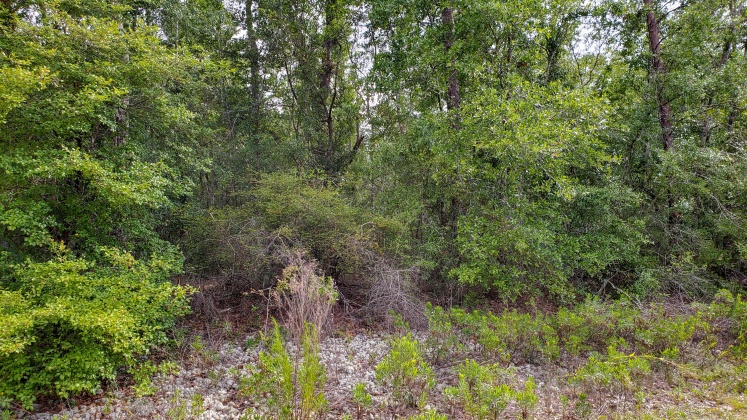 Chipley, Florida 32428, ,Land,For Sale,Shenandoah Blvd.,848668