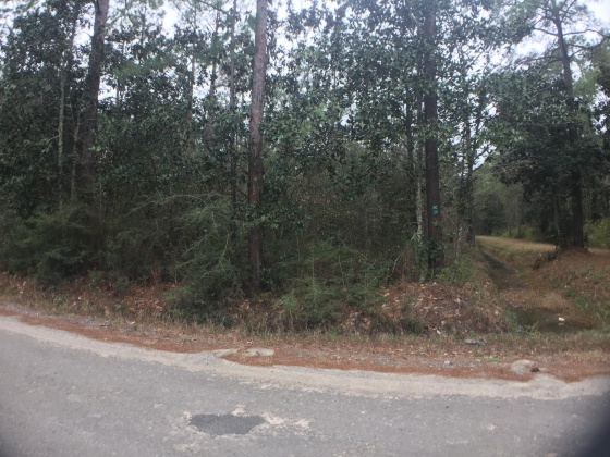 Santa Rosa Beach, Florida 32459, ,Land,For Sale,13Th,853967