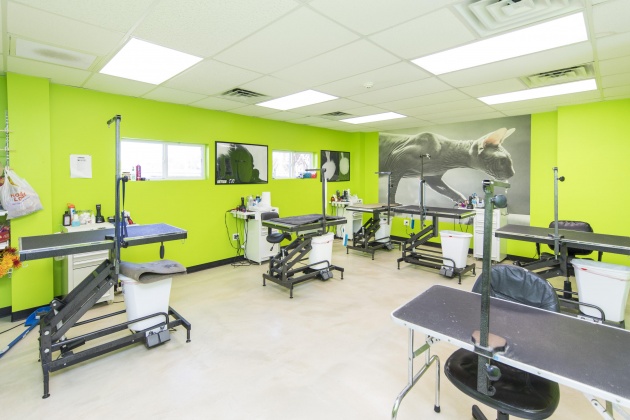 Panama City Beach, Florida 32413, ,Commercial for Sale,For Sale,Panama City Beach,820147