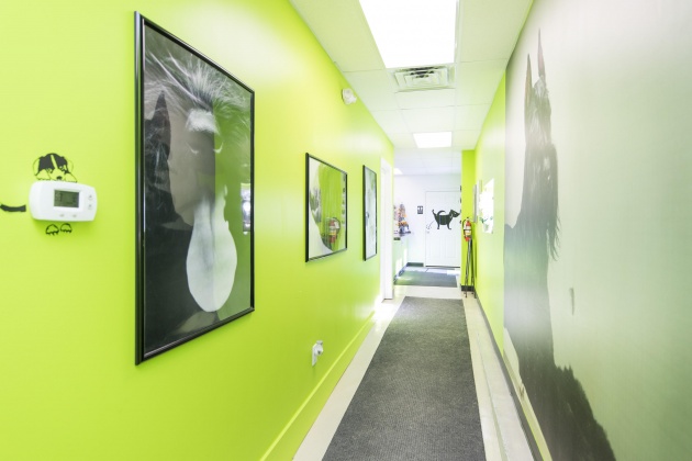 Panama City Beach, Florida 32413, ,Commercial for Sale,For Sale,Panama City Beach,820147