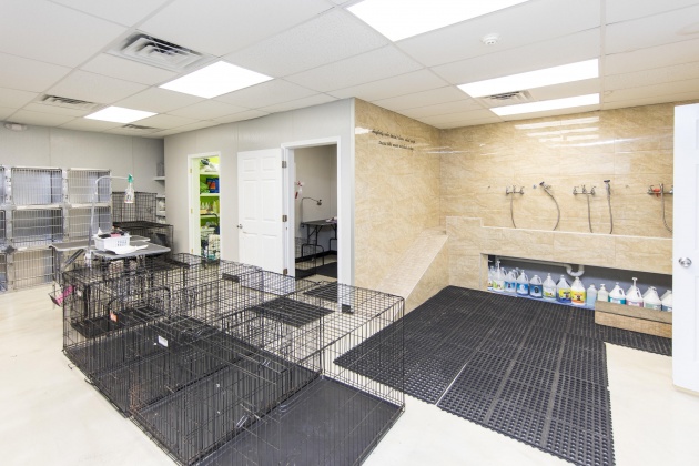 Panama City Beach, Florida 32413, ,Commercial for Sale,For Sale,Panama City Beach,820147