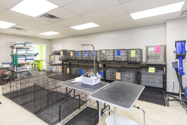 Panama City Beach, Florida 32413, ,Commercial for Sale,For Sale,Panama City Beach,820147