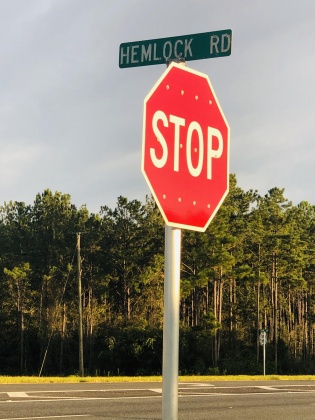 Defuniak Springs, Florida 32435, ,Commercial for Sale,For Sale,Hemlock,854496