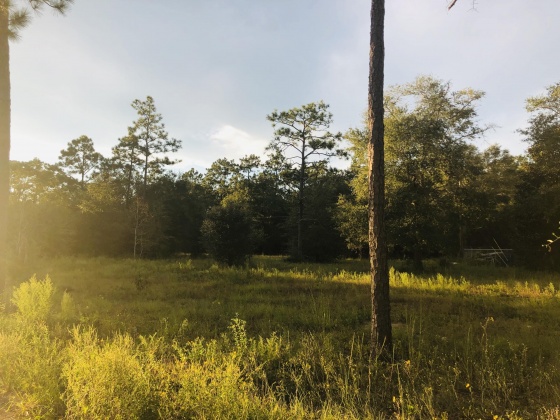 Defuniak Springs, Florida 32435, ,Commercial for Sale,For Sale,Hemlock,854496