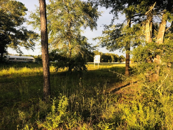 Defuniak Springs, Florida 32435, ,Commercial for Sale,For Sale,Hemlock,854496