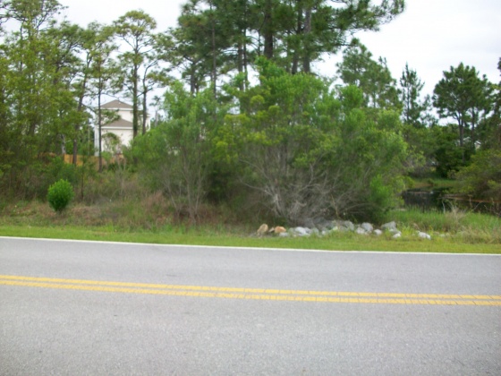 Santa Rosa Beach, Florida 32459, ,Land,For Sale,las robles grande,751724