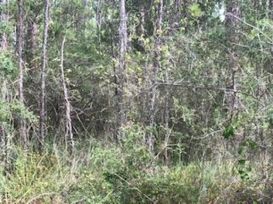 Santa Rosa Beach, Florida 32459, ,Land,For Sale,15th,855341