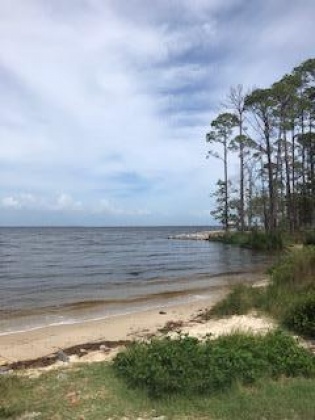 Santa Rosa Beach, Florida 32459, ,Land,For Sale,15th,855341