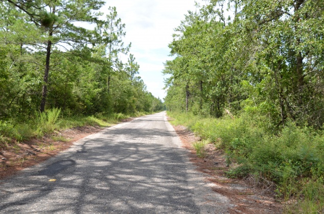 Defuniak Springs, Florida 32433, ,Land,For Sale,Watson,855378